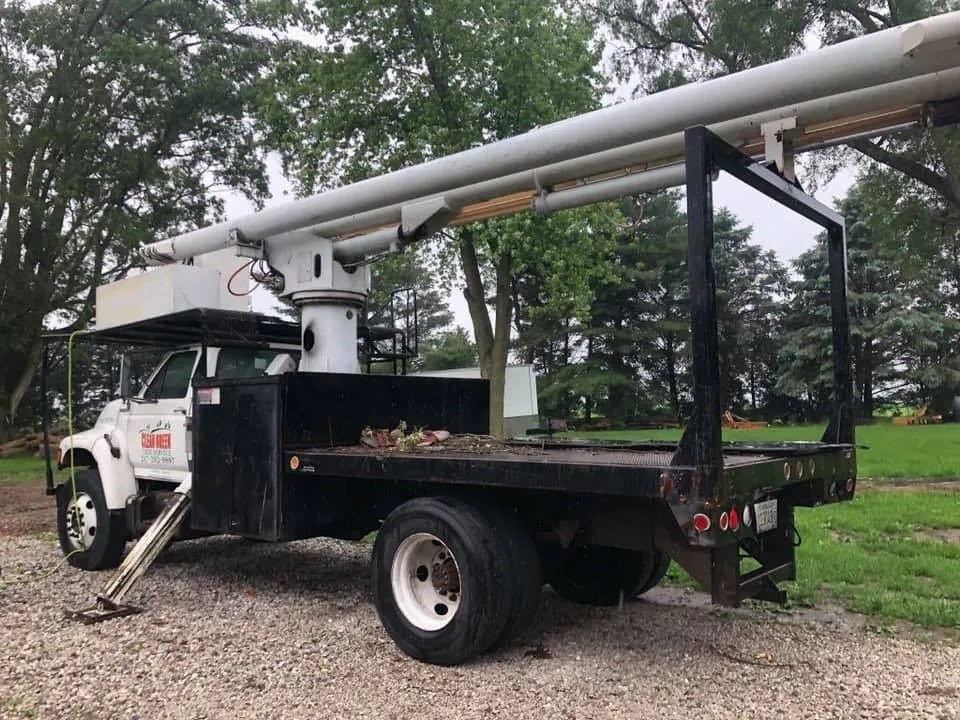 Tree Service Near Sangamon Park, Mansfield, IL